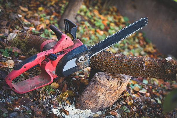 Best Lawn Maintenance Plans  in Trainer, PA